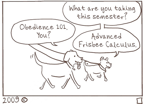 Frisbee Calc