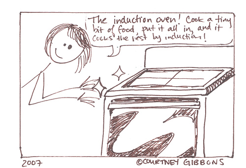 The Induction Oven